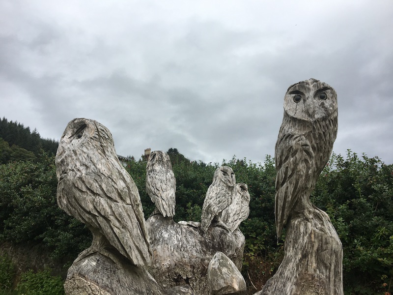 Funding your escape to the country - A photo of a parliament of carved wooden owls in the Argyll countryside 